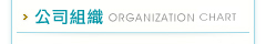 公司組織